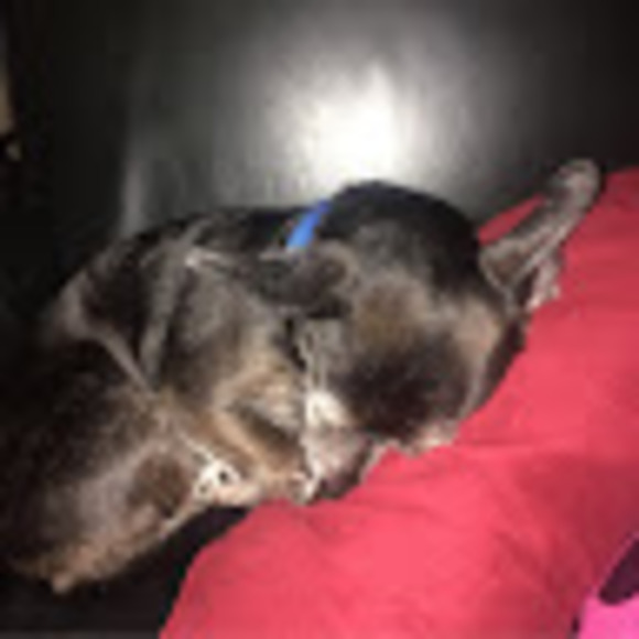 Meet your Posher, Pressure - Picture 1 of 1